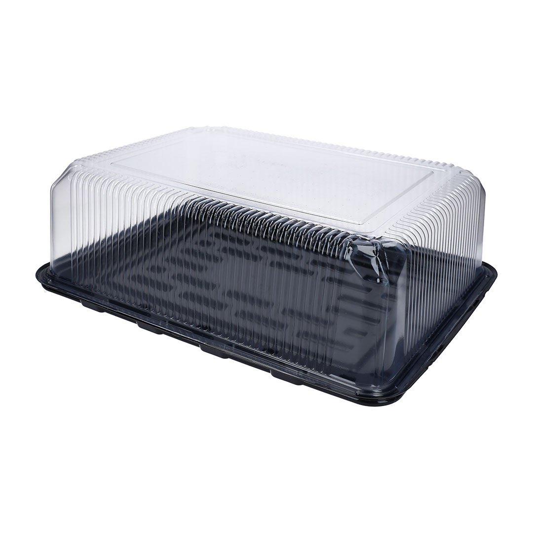 BANDEJA RECTANGULAR CON BASE NEGRA Y TAPA CLEAR CP-776 (1/50) ANTIFOGGING